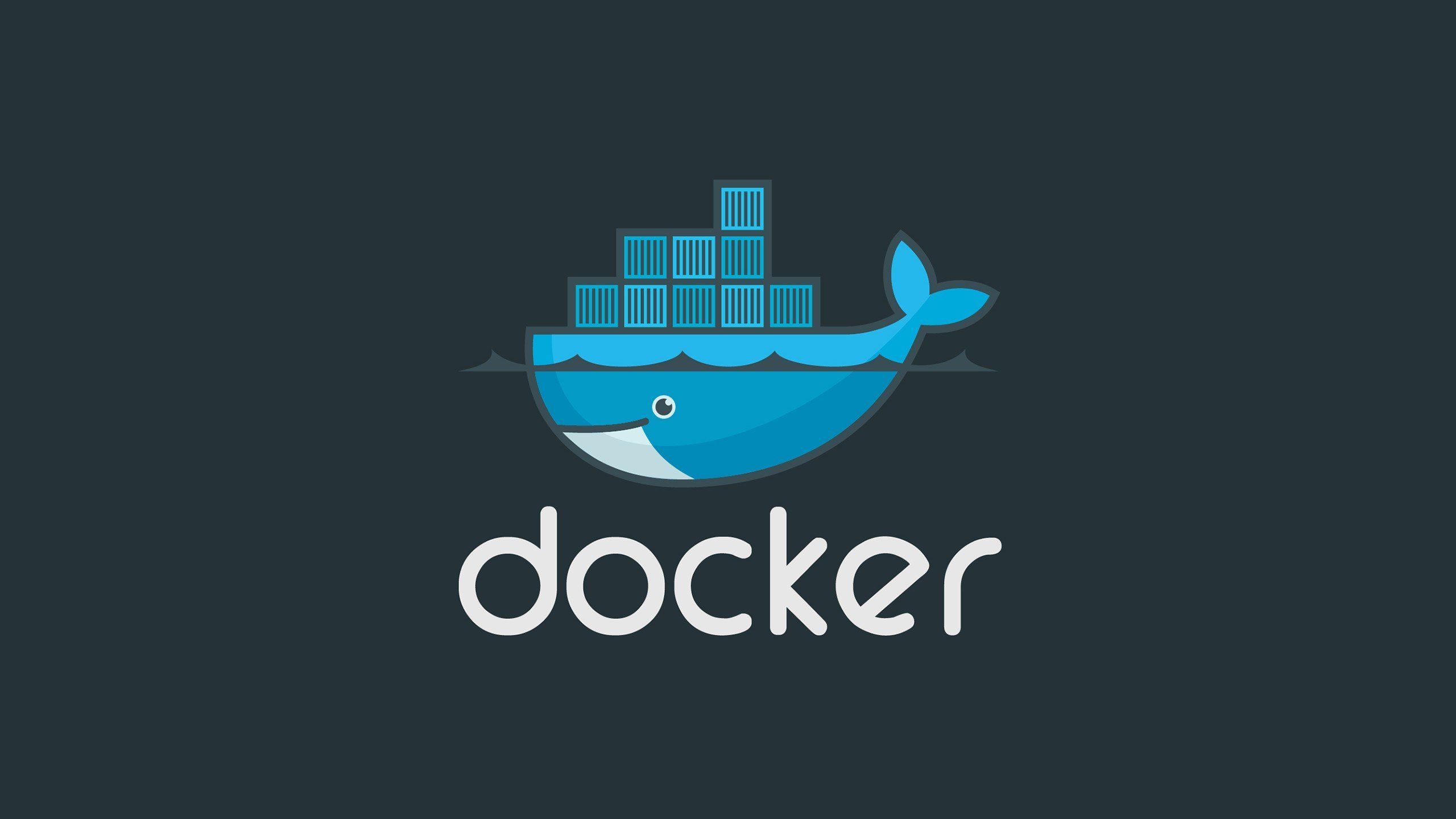 Docker Logo